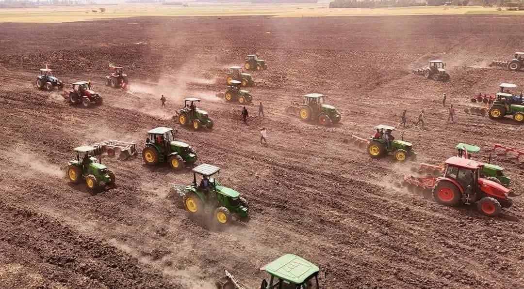 "Qonna Arfaasaa Bara kana Lafa Heektaara mil.1.9 misoomurraa oomishni kuntaalli mil. 46.2 ni eegama" Obbo Geetuu Gammachuu  - Image 3