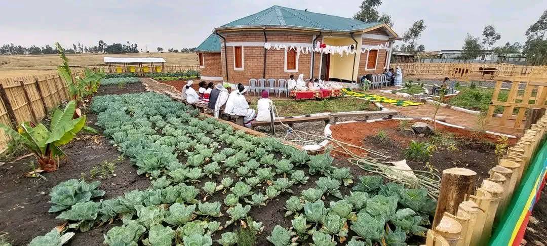 "Agricultural Initiatives: The Power of Economic System Transition." President of the Oromia Regional State Shimelis Abdisa - Image 9
