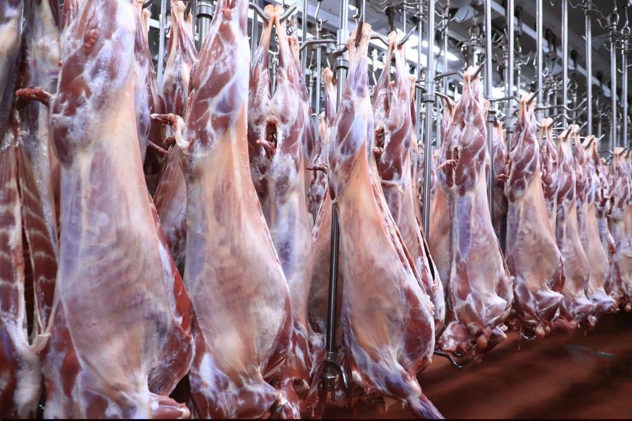 "Agricultural Initiatives: The Power of Economic System Transition." President of the Oromia Regional State Shimelis Abdisa - Image 14