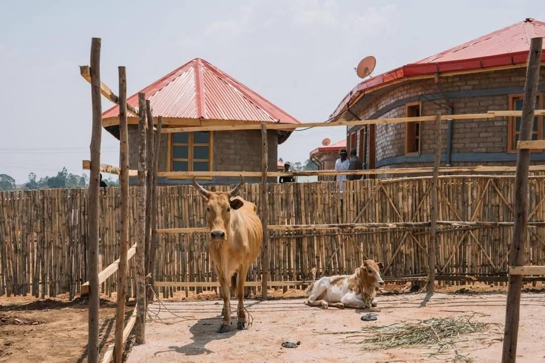 "Agricultural Initiatives: The Power of Economic System Transition." President of the Oromia Regional State Shimelis Abdisa - Image 10