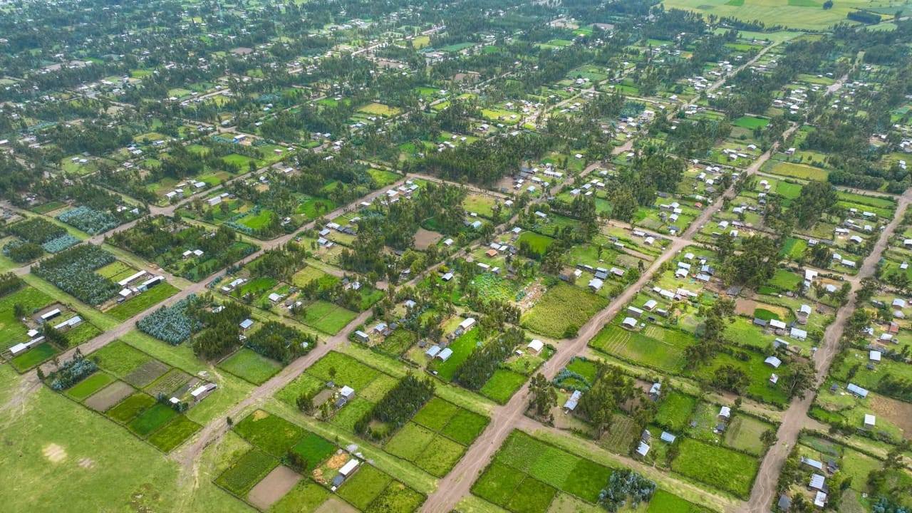 "Agricultural Initiatives: The Power of Economic System Transition." President of the Oromia Regional State Shimelis Abdisa - Image 3