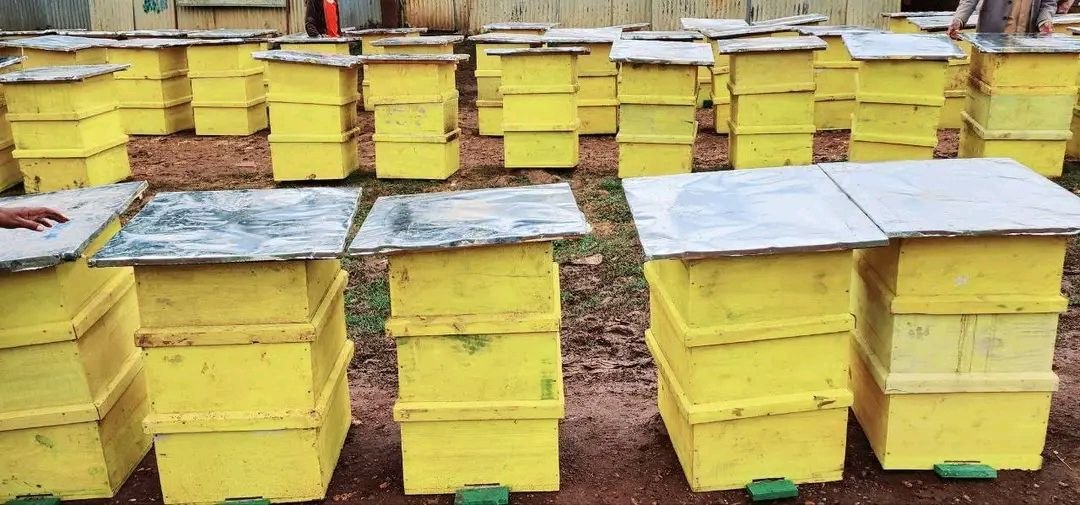 Misooma Dammaa:  Humna Galmoota Qonnaa Dhugoomsu! - Image 4