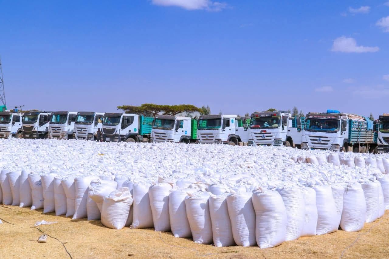 Agriculture : From Evolution to Jump ! - Image 1