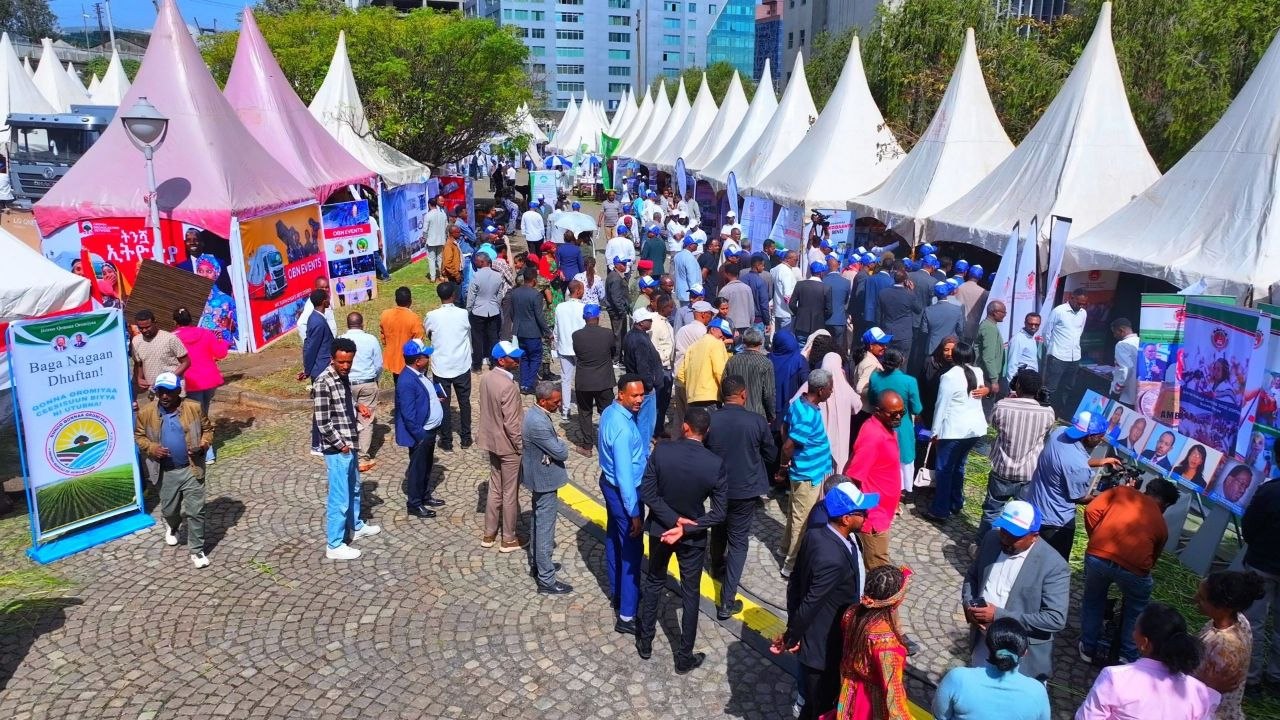 Sagantaan Egzibiishinii imala jijjiiramaa MNO waggoota shanan darbanii daawwatamaa jira. - Image 5