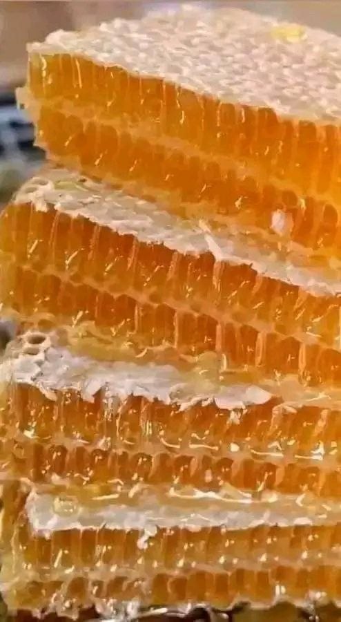 Misooma Dammaa:  Humna Galmoota Qonnaa Dhugoomsu! - Image 1