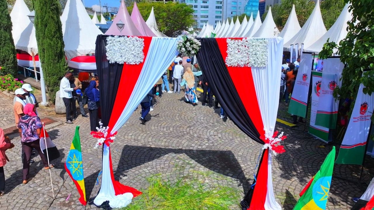 Sagantaan Egzibiishinii imala jijjiiramaa MNO waggoota shanan darbanii daawwatamaa jira. - Image 6