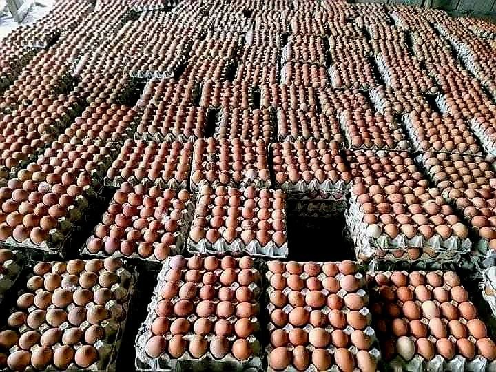 Carraa Naannoon Keenya Qabu Gara Bu’a QabeessummaattiJijjiiruun Badhaadhinni Dhugooma! - Image 7