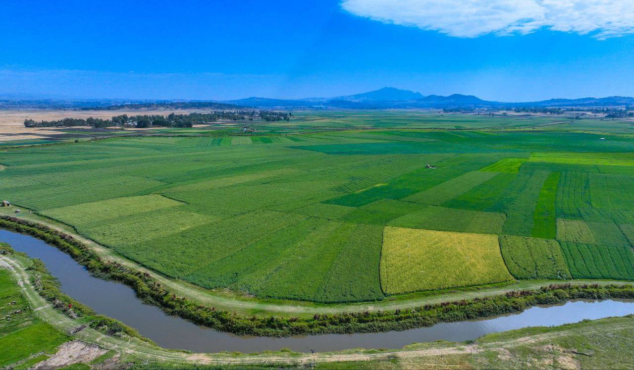 "Agricultural Initiatives: The Power of Economic System Transition." President of the Oromia Regional State Shimelis Abdisa - Image 18