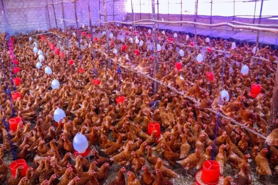 Carraa Naannoon Keenya Qabu Gara Bu’a QabeessummaattiJijjiiruun Badhaadhinni Dhugooma! - Image 4