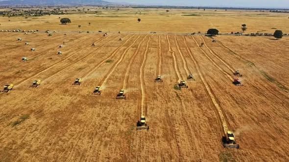 Agriculture : From Evolution to Jump ! - Image 4