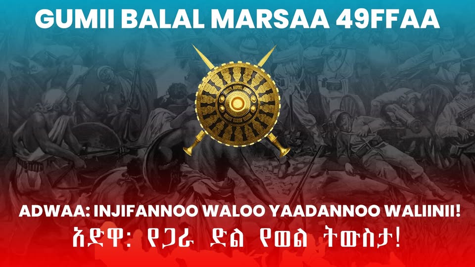 "The Victory War destroyed the idea of ​​colonialism and opened a new chapter in the view of human equality. Mr. Hayley Addunya - Image 4