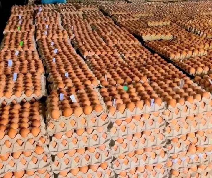 Carraa Naannoon Keenya Qabu Gara Bu’a QabeessummaattiJijjiiruun Badhaadhinni Dhugooma! - Image 5