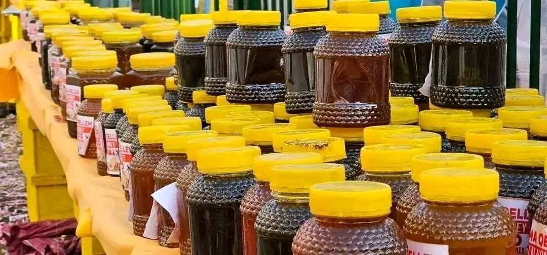 Misooma Dammaa:  Humna Galmoota Qonnaa Dhugoomsu! - Image 3