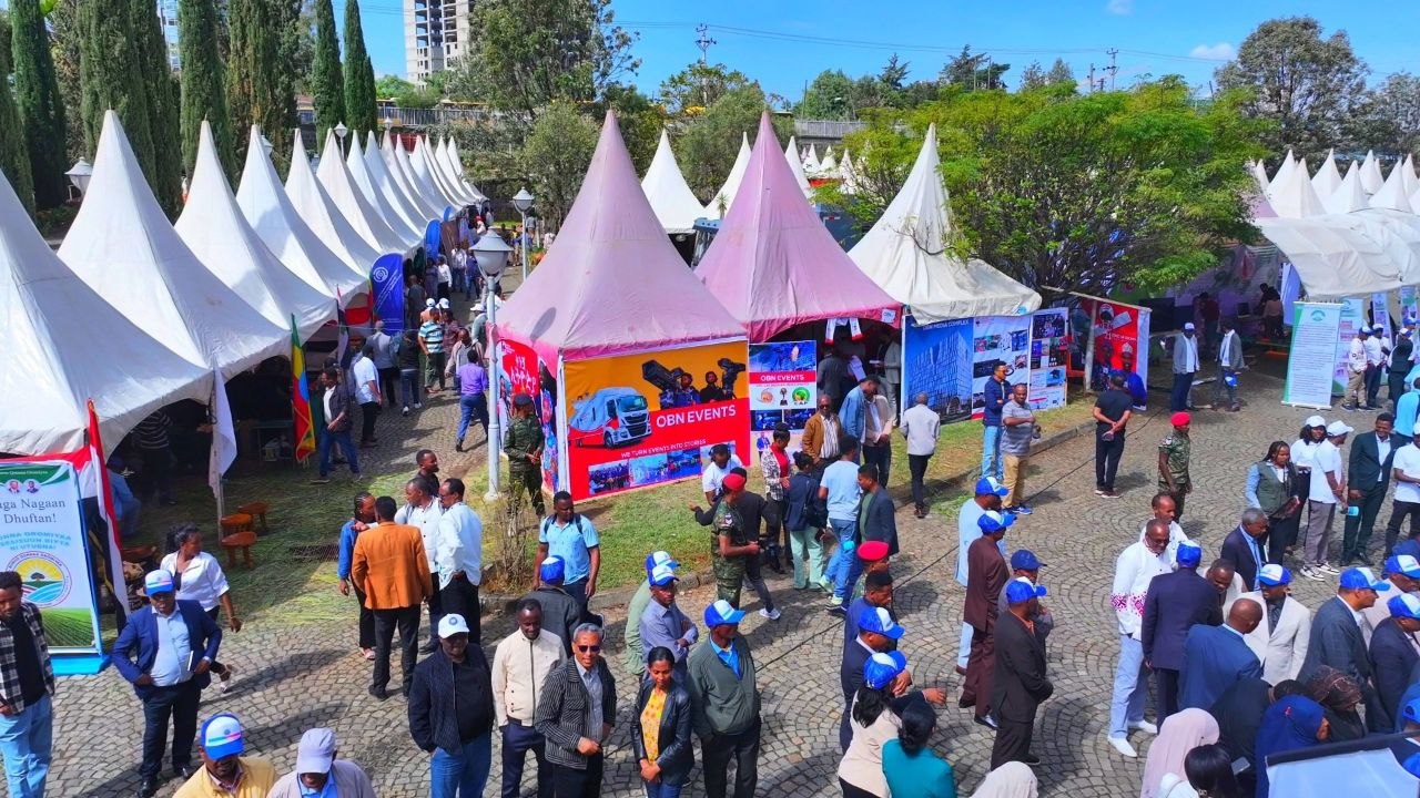 Sagantaan Egzibiishinii imala jijjiiramaa MNO waggoota shanan darbanii daawwatamaa jira. - Image 4