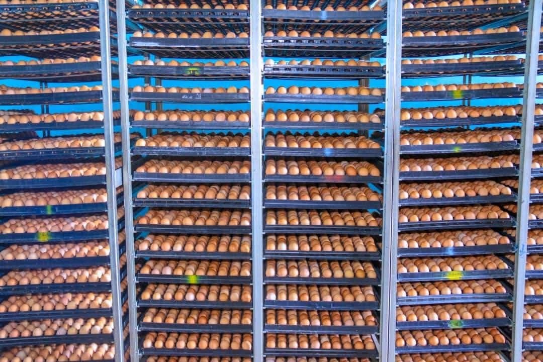 Carraa Naannoon Keenya Qabu Gara Bu’a QabeessummaattiJijjiiruun Badhaadhinni Dhugooma! - Image 3