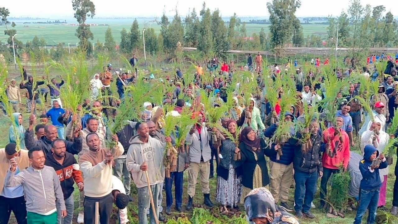 Bara Kana Naannoo Oromiyaatti Sagantaa Ashaaraa Magariisatiin dhaabbiin biqiltuu bil.4.8 ol Mootoo "Abdii Haa Dhaabnu" jedhuun gaggeeffamaa jira  - Image 12
