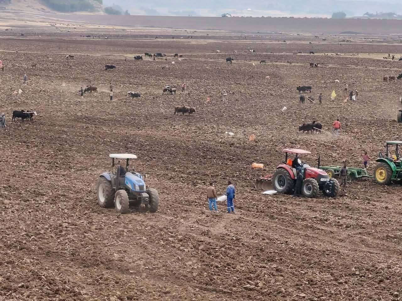 "Qonna Arfaasaa Bara kana Lafa Heektaara mil.1.9 misoomurraa oomishni kuntaalli mil. 46.2 ni eegama" Obbo Geetuu Gammachuu  - Image 1