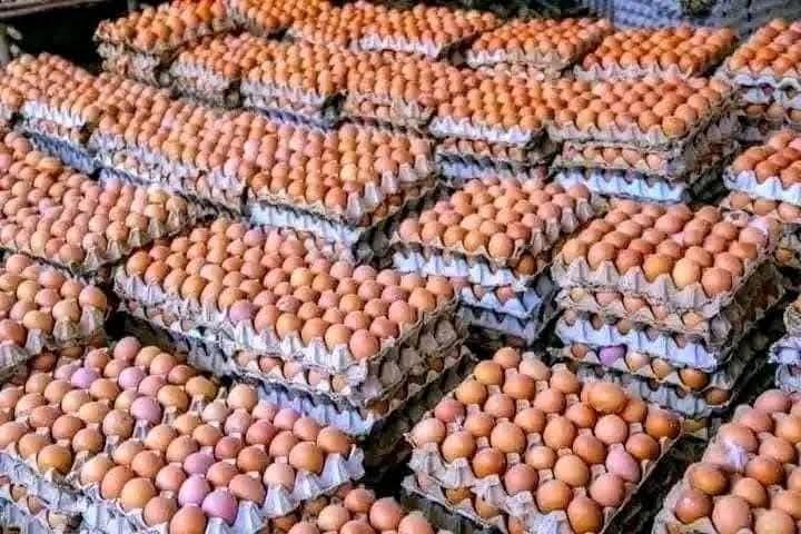 Carraa Naannoon Keenya Qabu Gara Bu’a QabeessummaattiJijjiiruun Badhaadhinni Dhugooma! - Image 8