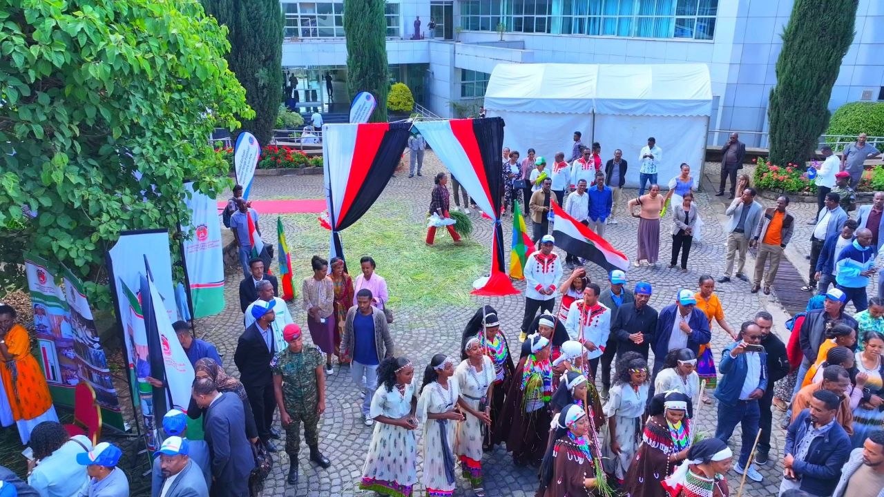 Sagantaan Egzibiishinii imala jijjiiramaa MNO waggoota shanan darbanii daawwatamaa jira. - Image 8