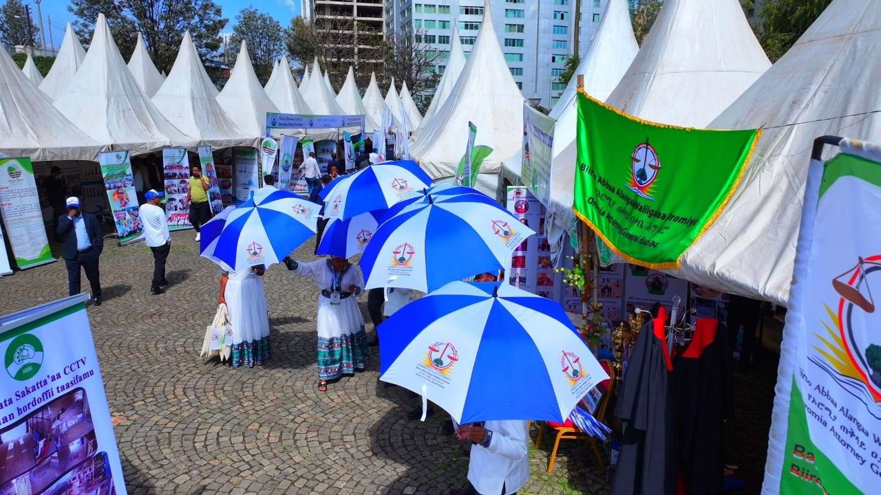 Sagantaan Egzibiishinii imala jijjiiramaa MNO waggoota shanan darbanii daawwatamaa jira. - Image 1