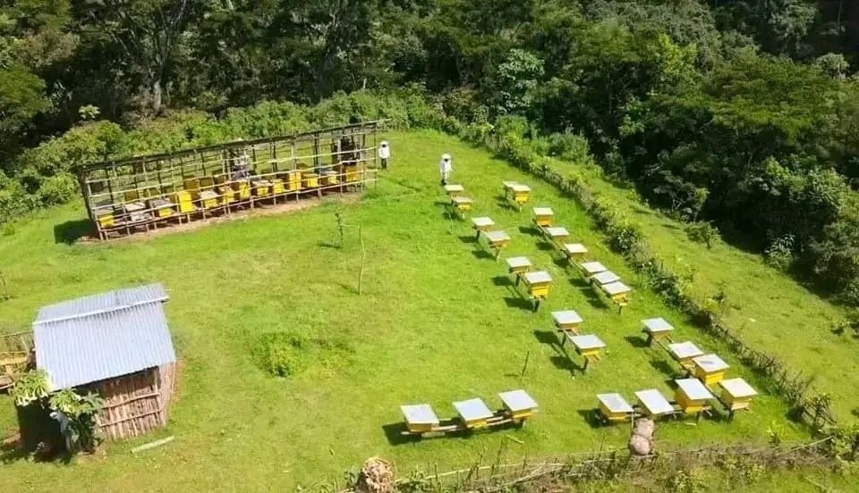 Misooma Dammaa:  Humna Galmoota Qonnaa Dhugoomsu! - Image 8