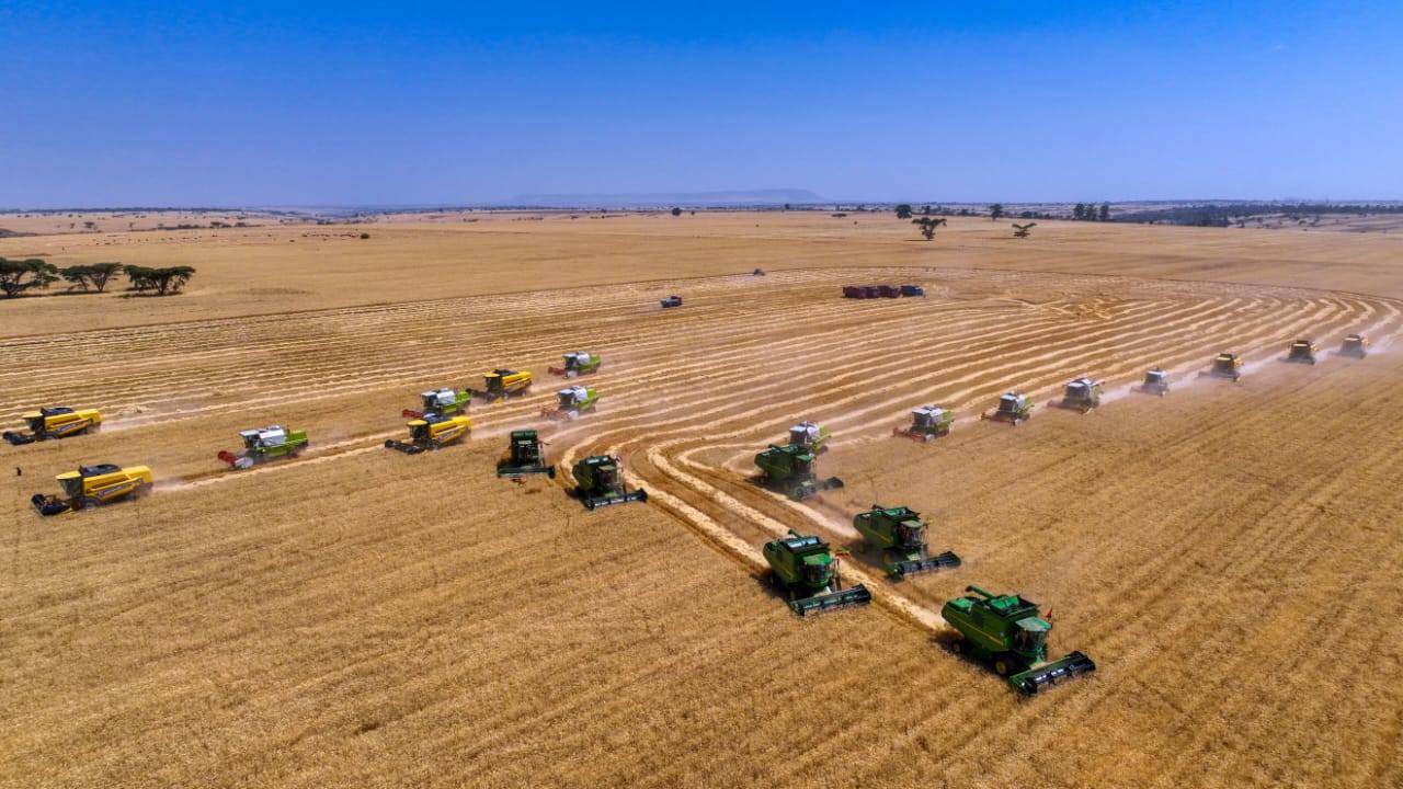 "Agricultural Initiatives: The Power of Economic System Transition." President of the Oromia Regional State Shimelis Abdisa - Image 16