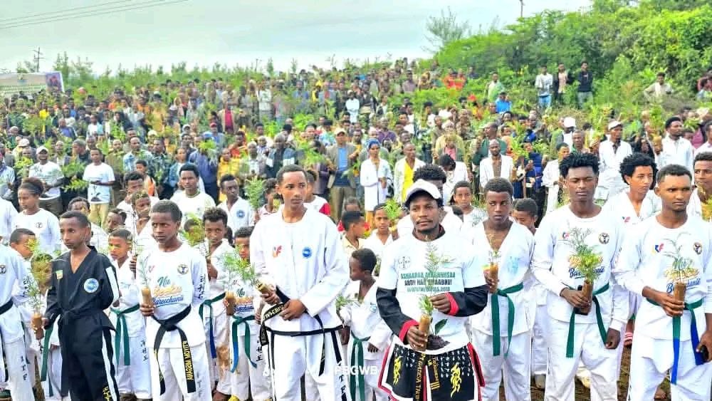 Bara Kana Naannoo Oromiyaatti Sagantaa Ashaaraa Magariisatiin dhaabbiin biqiltuu bil.4.8 ol Mootoo "Abdii Haa Dhaabnu" jedhuun gaggeeffamaa jira  - Image 10