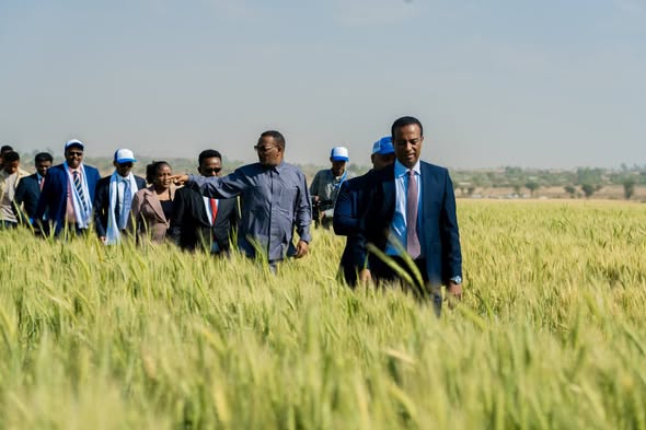Ethiopia Towards a Model Country! - Image 3