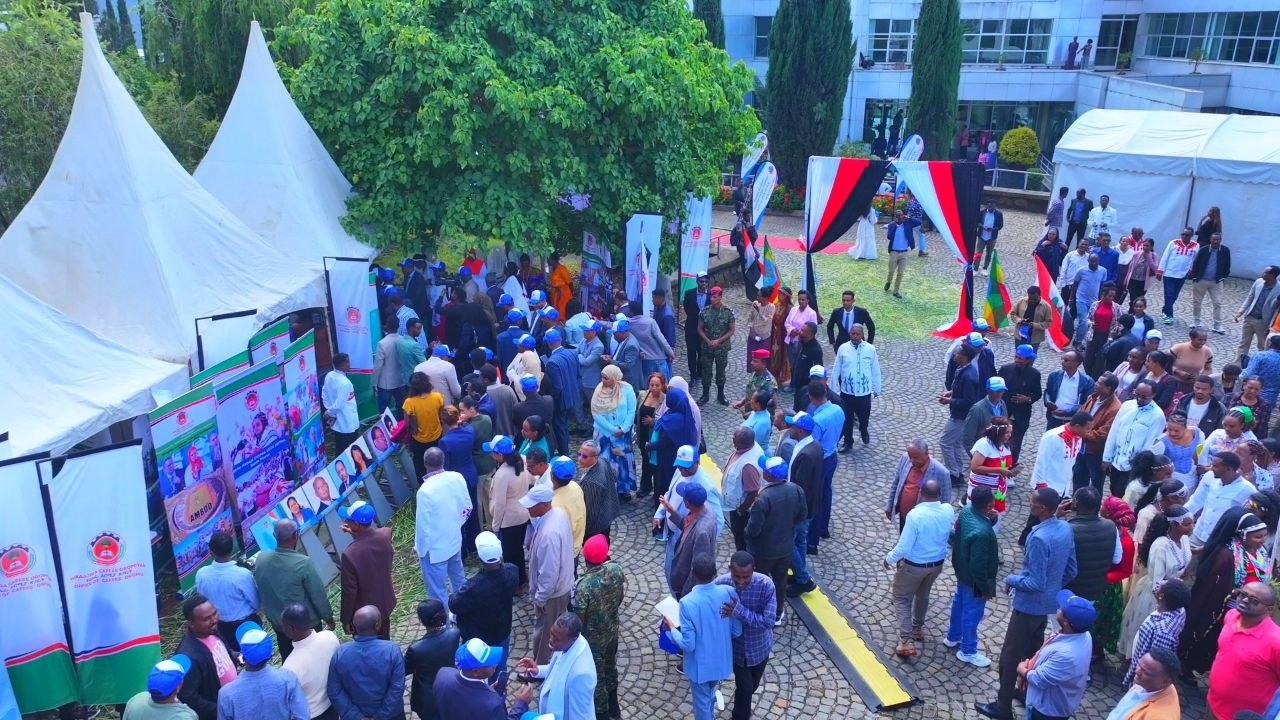 Sagantaan Egzibiishinii imala jijjiiramaa MNO waggoota shanan darbanii daawwatamaa jira. - Image 9