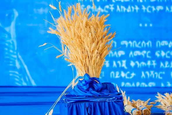 Ethiopia Towards a Model Country! - Image 2