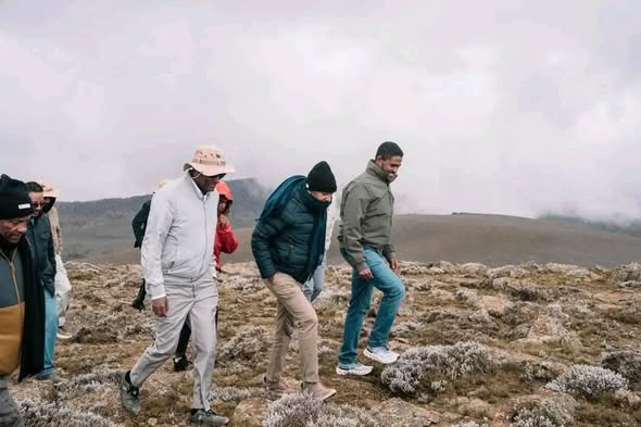 Tourism Is A New Idea That Is Backing The Economy !