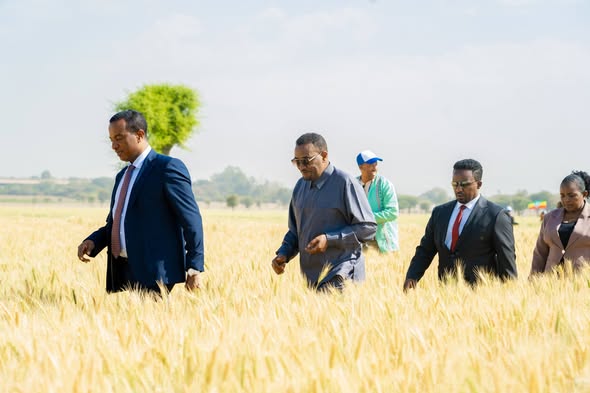 Ethiopia Towards A Model Country!